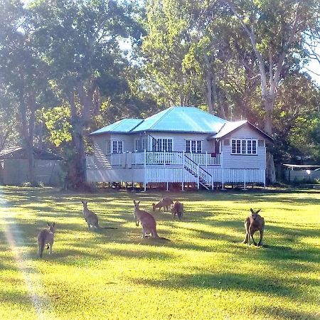 Lake Weyba Noosa Lodge & Kangaroos Peregian Beach Bagian luar foto