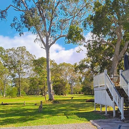 Lake Weyba Noosa Lodge & Kangaroos Peregian Beach Bagian luar foto