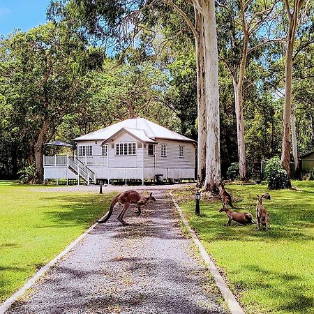 Lake Weyba Noosa Lodge & Kangaroos Peregian Beach Bagian luar foto