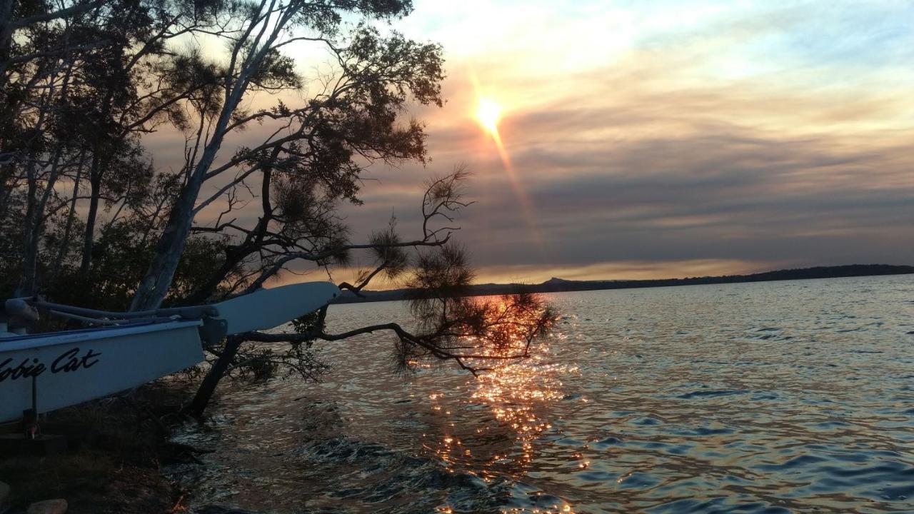 Lake Weyba Noosa Lodge & Kangaroos Peregian Beach Bagian luar foto