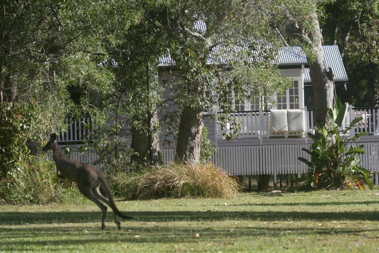 Lake Weyba Noosa Lodge & Kangaroos Peregian Beach Bagian luar foto