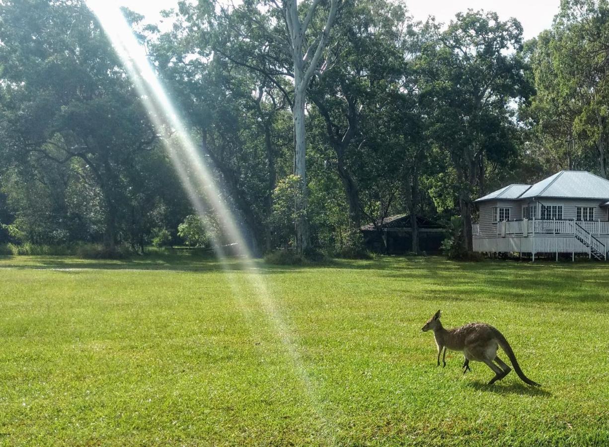 Lake Weyba Noosa Lodge & Kangaroos Peregian Beach Bagian luar foto