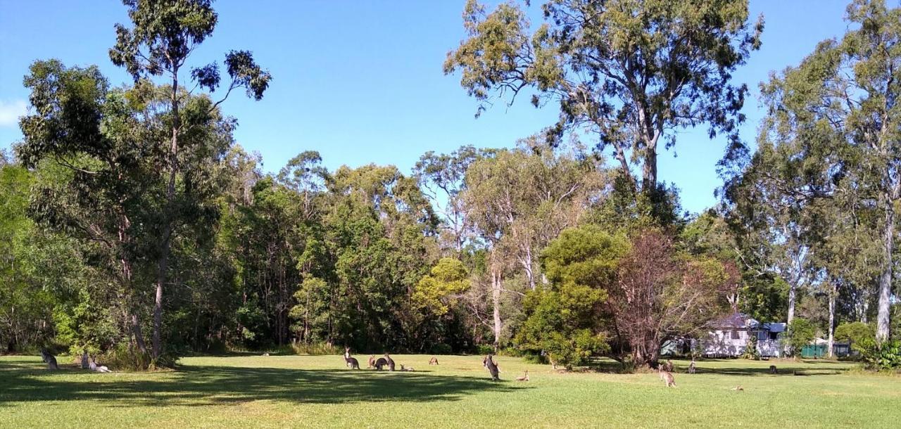 Lake Weyba Noosa Lodge & Kangaroos Peregian Beach Bagian luar foto