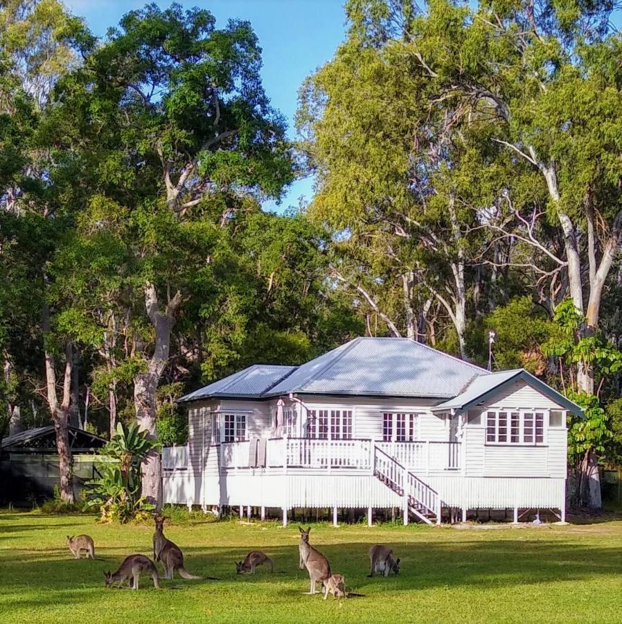 Lake Weyba Noosa Lodge & Kangaroos Peregian Beach Bagian luar foto