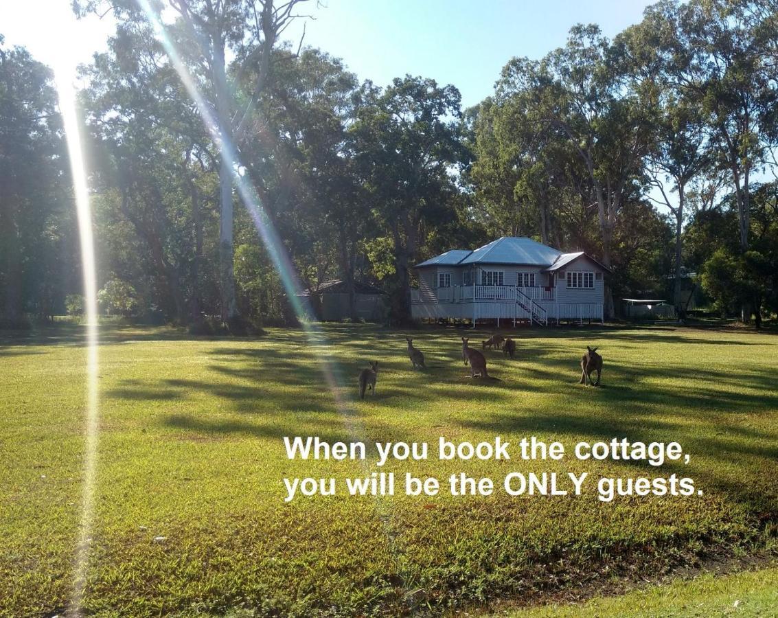 Lake Weyba Noosa Lodge & Kangaroos Peregian Beach Bagian luar foto