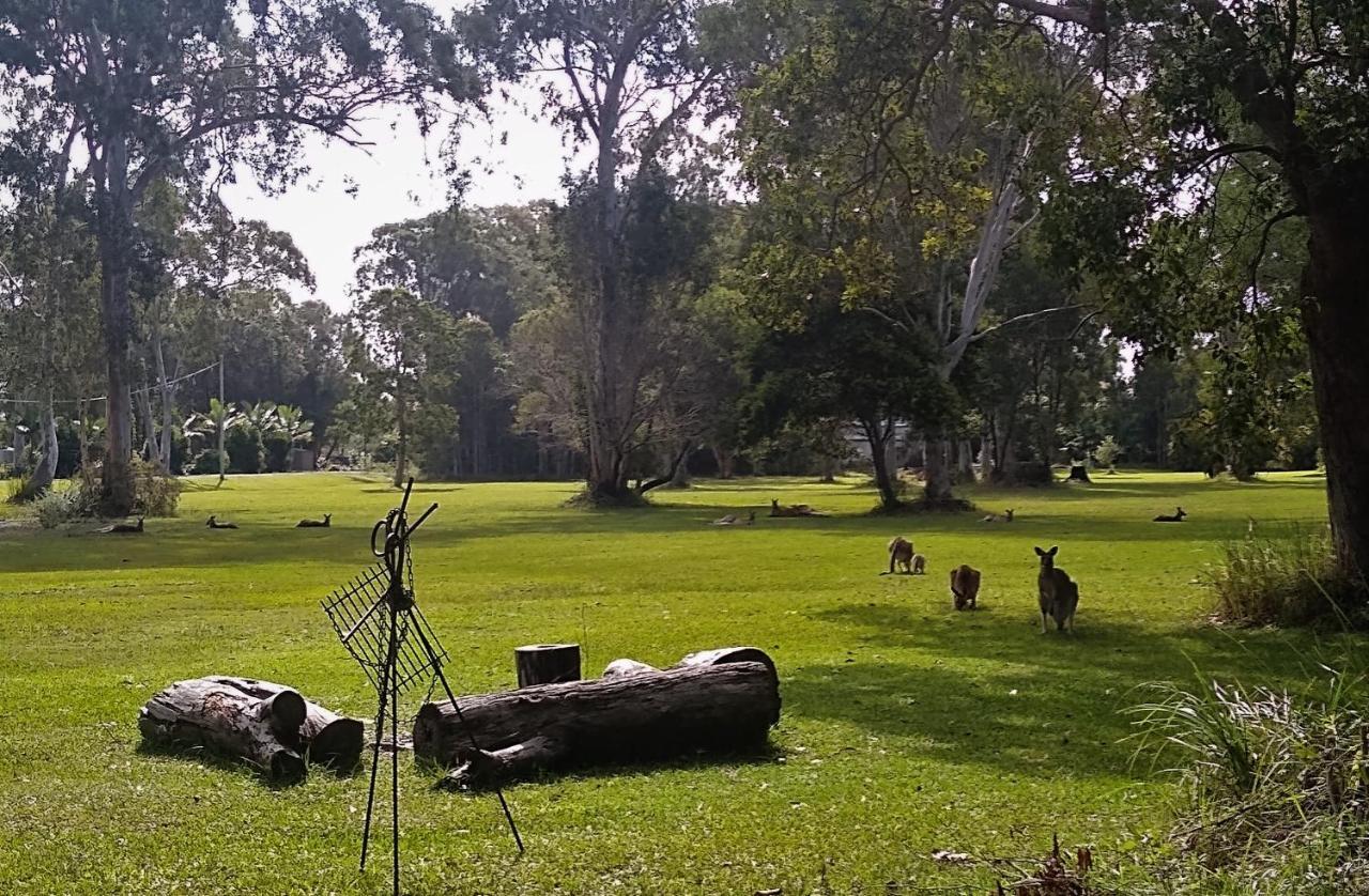 Lake Weyba Noosa Lodge & Kangaroos Peregian Beach Bagian luar foto
