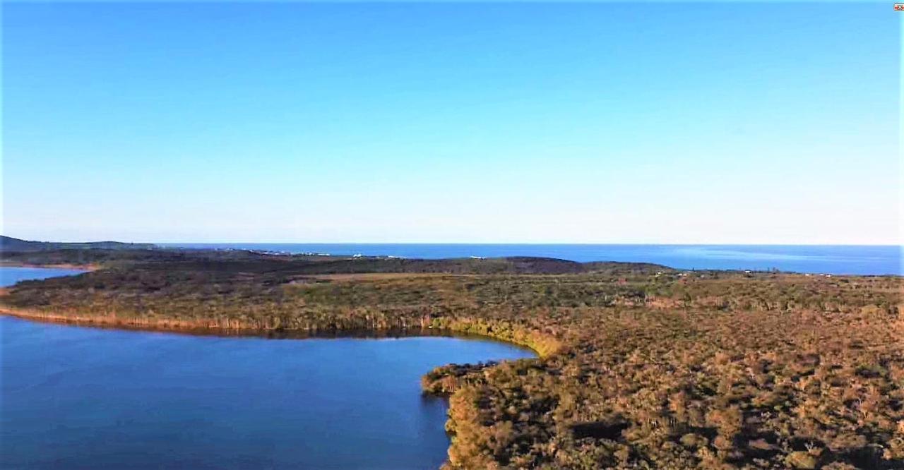 Lake Weyba Noosa Lodge & Kangaroos Peregian Beach Bagian luar foto