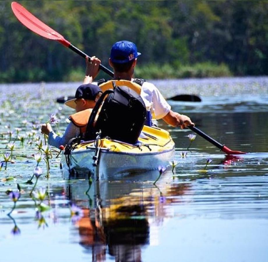 Lake Weyba Noosa Lodge & Kangaroos Peregian Beach Bagian luar foto