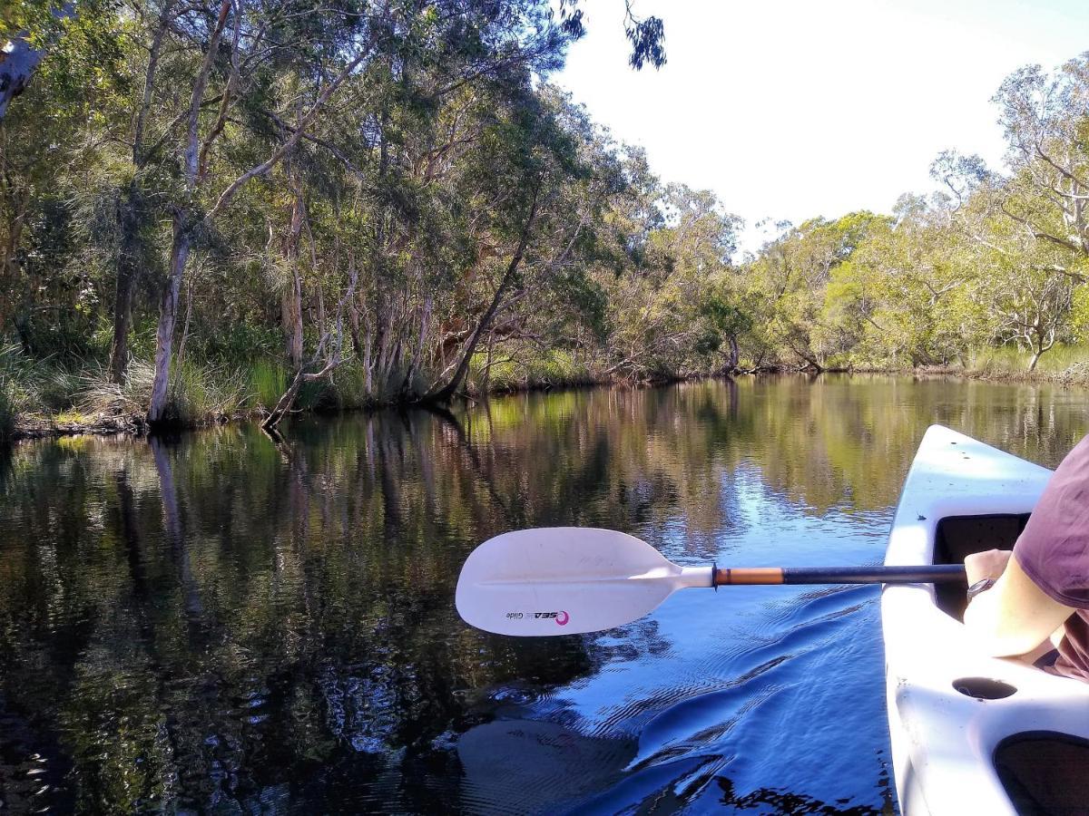 Lake Weyba Noosa Lodge & Kangaroos Peregian Beach Bagian luar foto