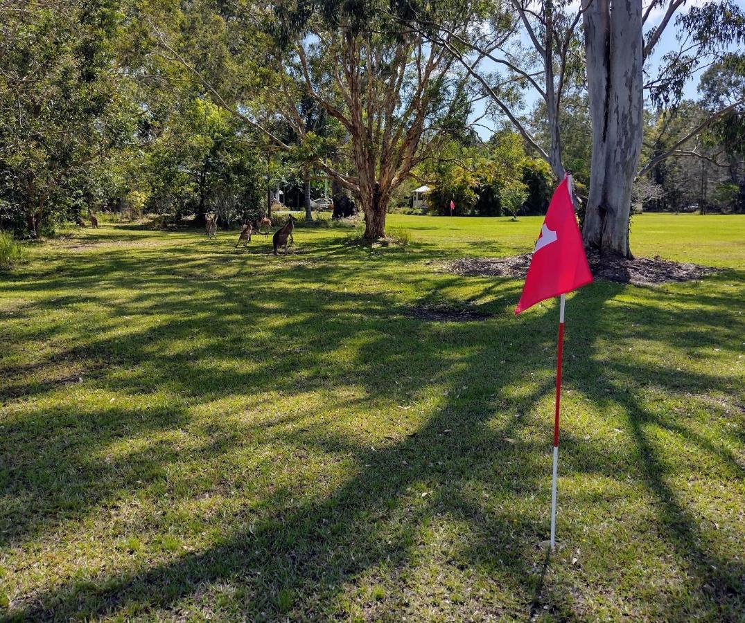 Lake Weyba Noosa Lodge & Kangaroos Peregian Beach Bagian luar foto
