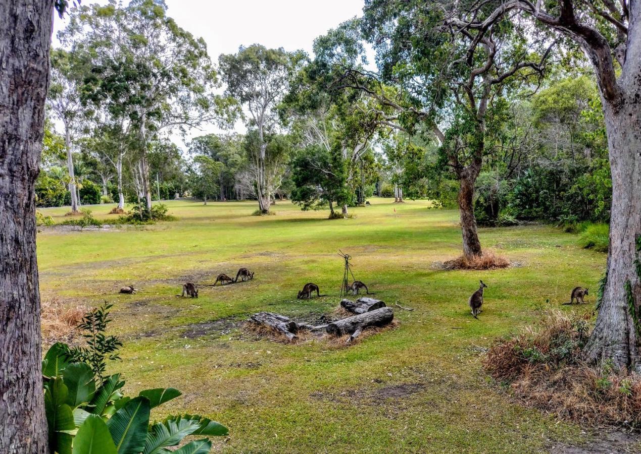 Lake Weyba Noosa Lodge & Kangaroos Peregian Beach Bagian luar foto