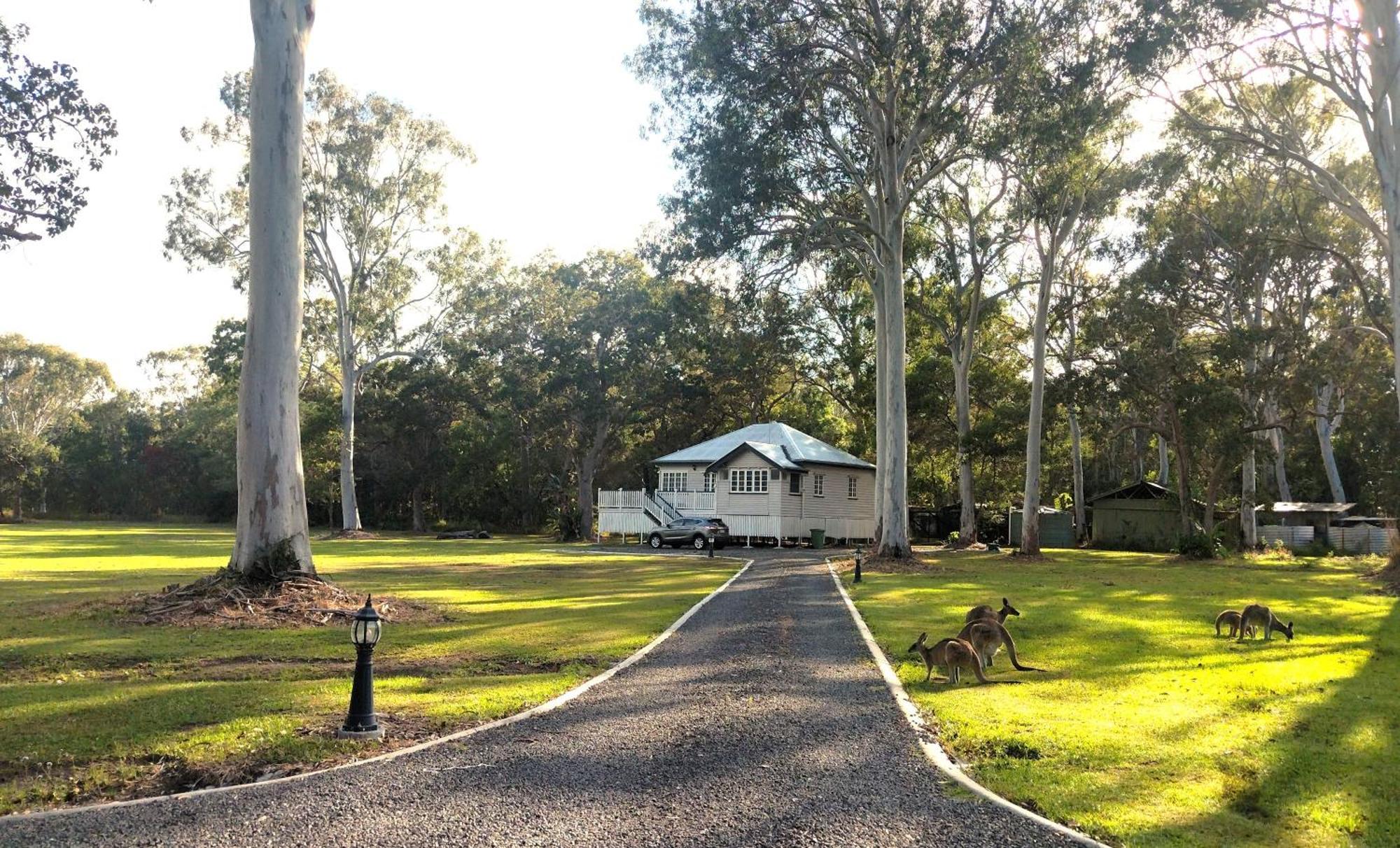 Lake Weyba Noosa Lodge & Kangaroos Peregian Beach Bagian luar foto