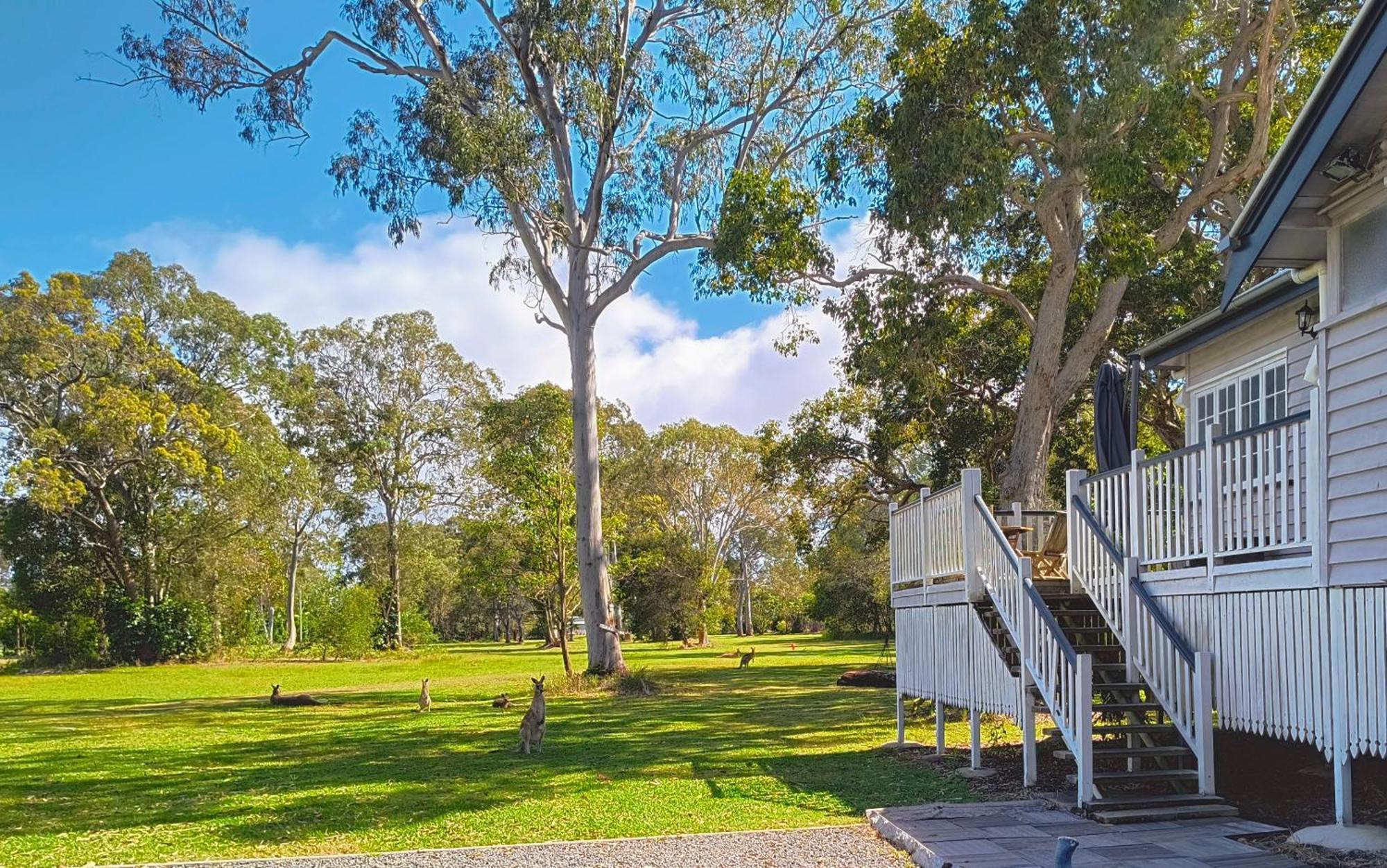 Lake Weyba Noosa Lodge & Kangaroos Peregian Beach Bagian luar foto